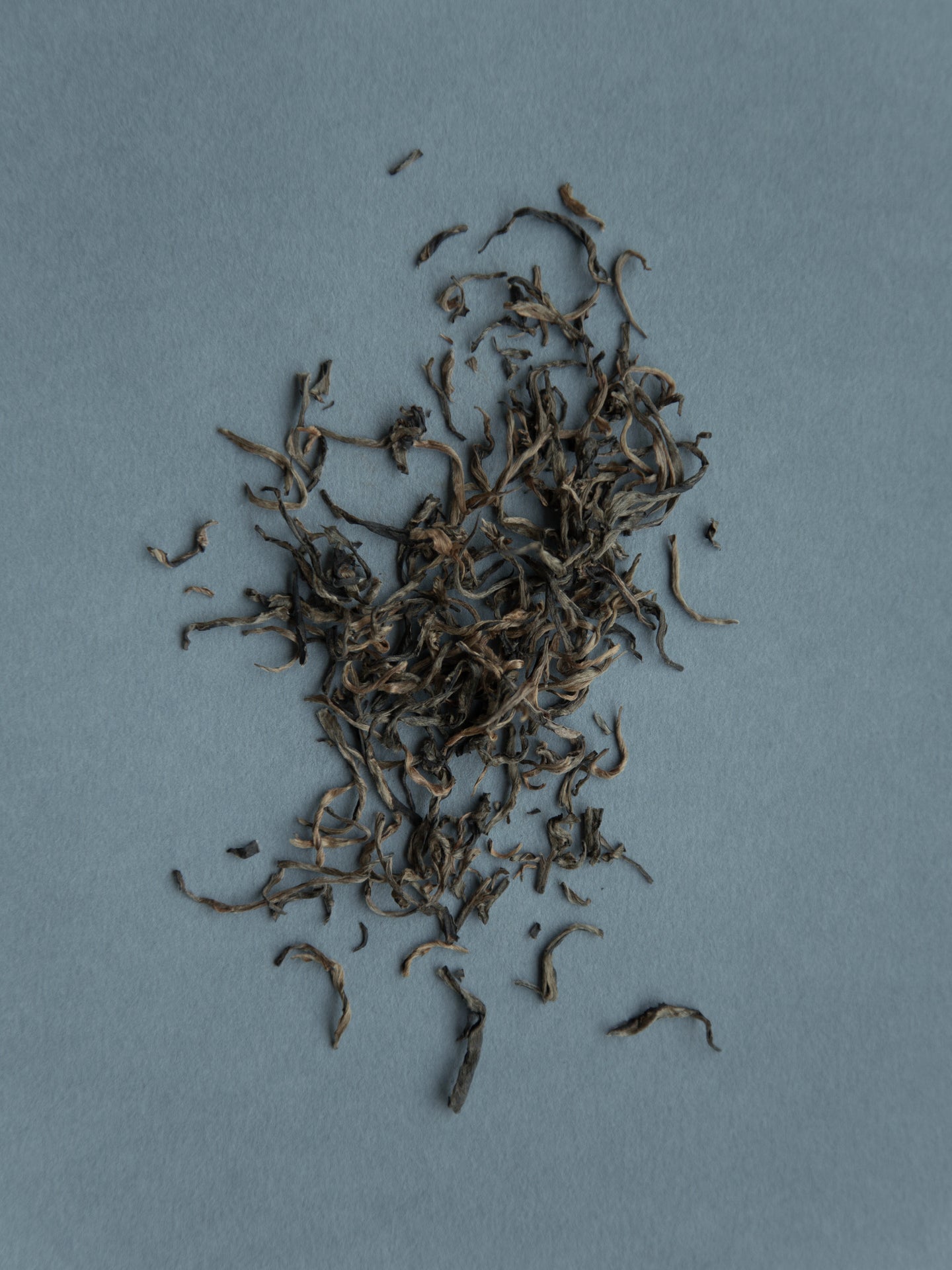 Image field 31